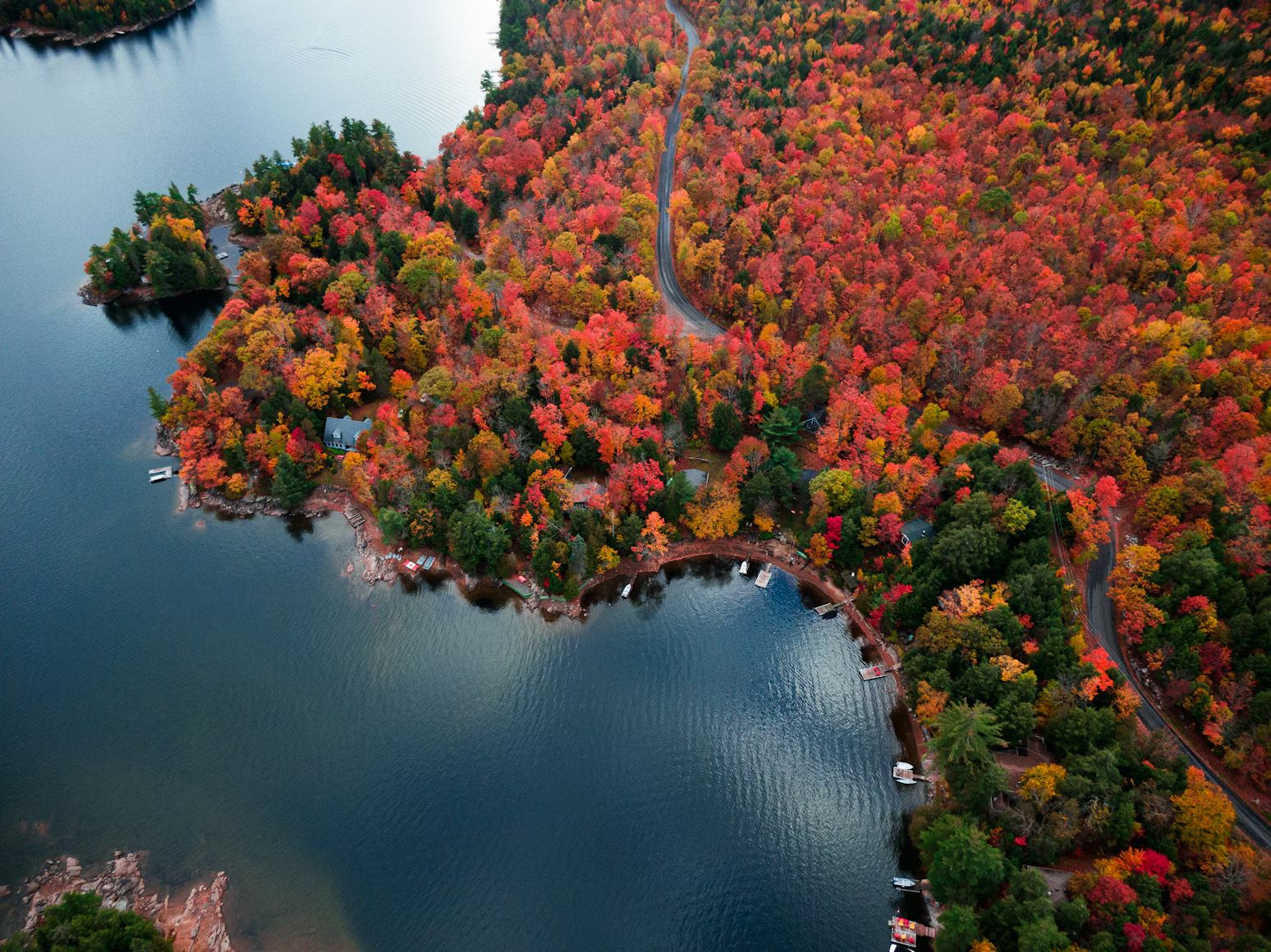 Aerial view of trees on land wrapping around a lake with a winding road trailing through the tree area. The trees have autumn leaf colours.
